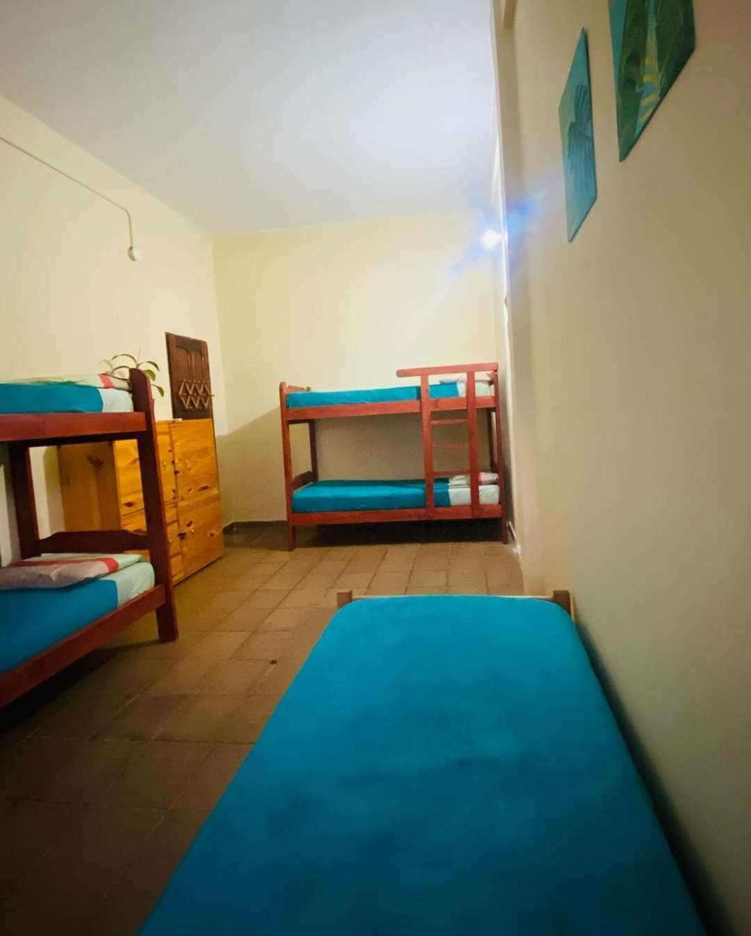 Benteveo Hostel Iguazu Puerto Iguazú Eksteriør bilde