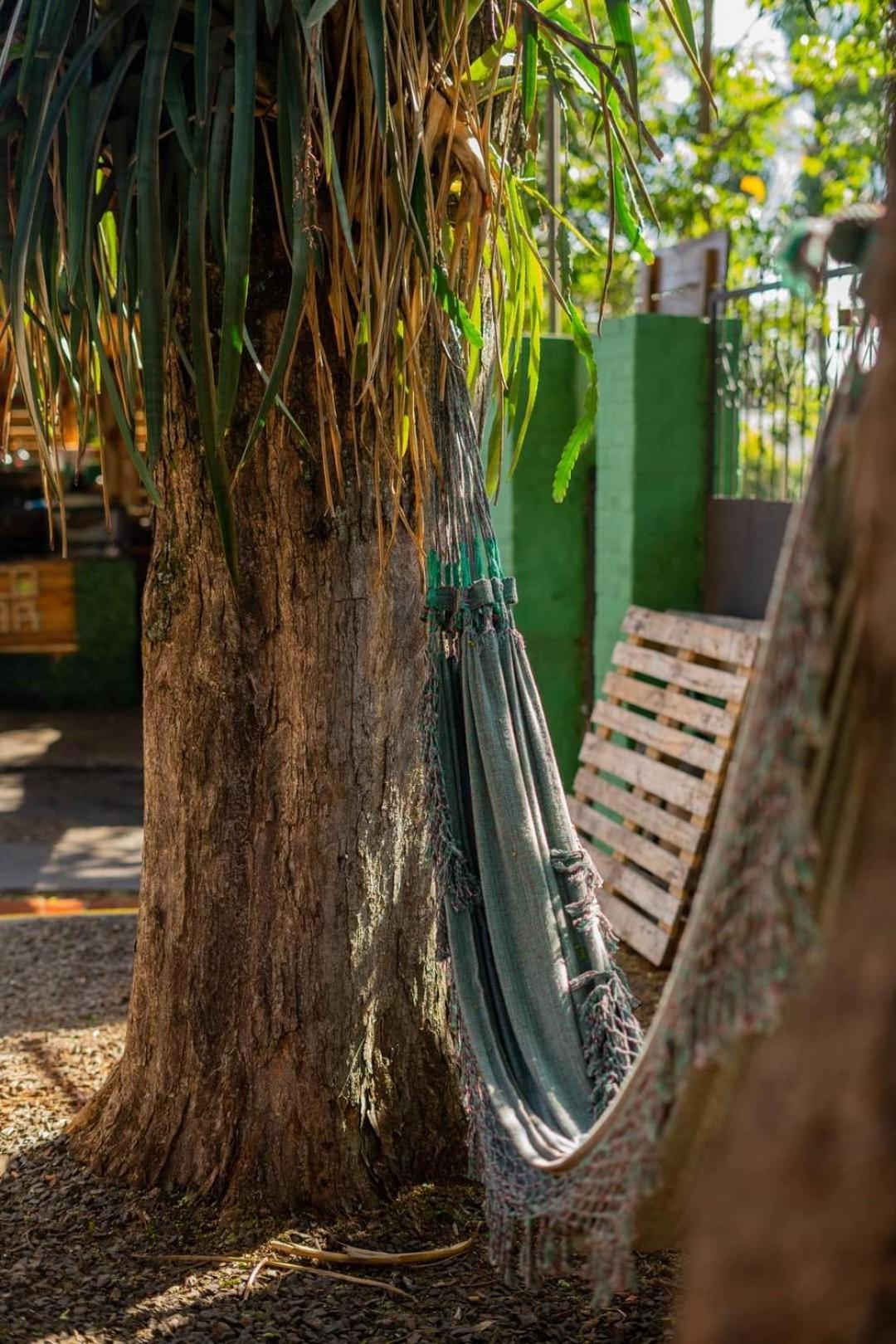 Benteveo Hostel Iguazu Puerto Iguazú Eksteriør bilde